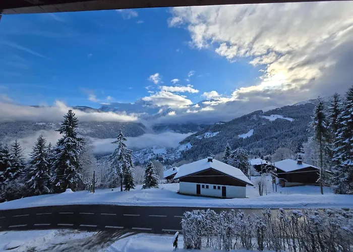 Au Coeur Des Pistes